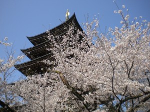 覚王山春祭に出店します！