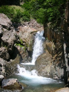 夏休みのお知らせ