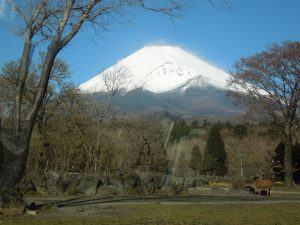 明けましておめでとうございます。